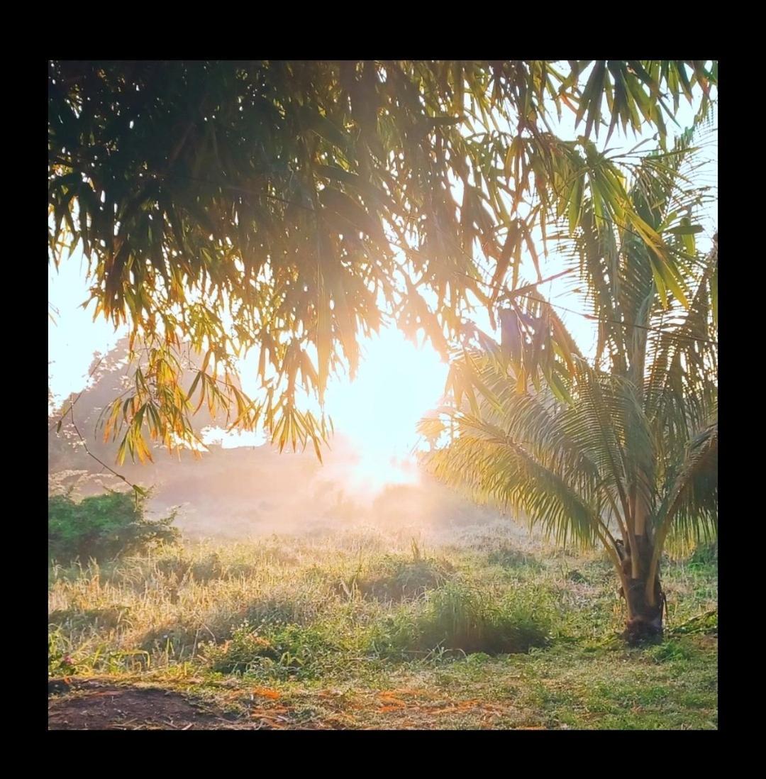 L'Ecrin Vert Sainte-Anne  Εξωτερικό φωτογραφία
